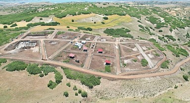 Elazığ'da Sokak Hayvanları İçin Modern Bakımevi Projesi Hızla İlerliyor
