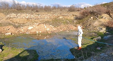 Elazığ’da Larva İlaçlama Çalışmaları Başladı
