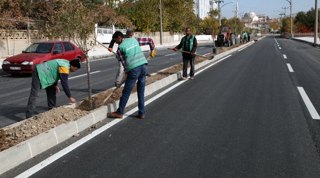 BULVAR VE CADDELER AĞAÇLANDIRILIYOR
