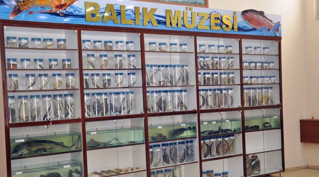ELAZIĞ’DA BALIK MÜZESİ AÇILDI