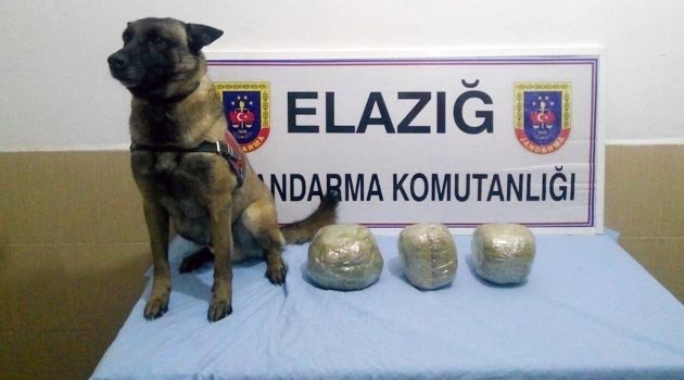 JANDARMA UYGULAMASINDA ESRAR ELE GEÇİRİLDİ