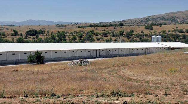 KÖYLÜLERDEN TAVUK ÇİFTLİĞİ EYLEMİ