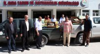 1.5 TON KAÇAK BALIK YAKALANDI