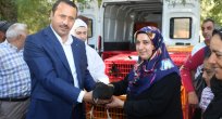 1250 Adet Yumurta Tavuğu Dağıtıldı