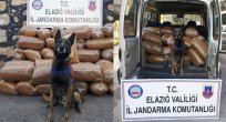 250 KİLOGRAM TÜTÜNE REKJOR PARA CEZASI