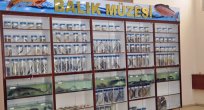 ELAZIĞ’DA BALIK MÜZESİ AÇILDI