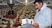 LİSE ÖĞRETMENİ EK İŞ OLARAK TAVUK ÇİFTLİĞİ KURDU