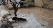 ELAZIĞ'DA EVLER SEL SULARI ALTINDA KALDI