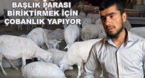 Başlık Parsı Biriktirmek İçin Çobanlık Yapıyor