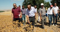 ASPİR DEMONSTRASYONUNUN HASADI YAPILDI