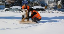 BELEDİYE KUŞLAR İÇİN DOĞAYA YEM BIRAKTI