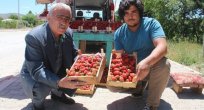 Bölgede En Çok Elazığ'da Üretiliyor