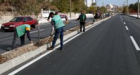 BULVAR VE CADDELER AĞAÇLANDIRILIYOR
