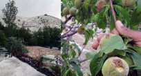 DOLU FELAKETİ SONRASI HASAR TESPİT ÇALIŞMALARI BAŞLADI