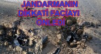 ELAZIĞ JANDARMADAN BÜYÜK BAŞARI