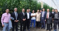 ELAZIĞ YATIRIM FIRSATLARI PROGRAMINA GURBETÇİ İŞADAMLARINDAN YOĞUN İLGİ