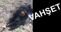 ELAZIĞ'DA YANMIŞ BİR ERKEK CESEDİ BULUNDU