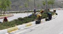 ELAZIĞ'IN CADDE VE BULVARLARLARINA KADIN ELİ DEĞDİ