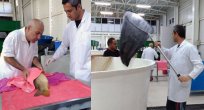 İLK BALIK SAĞIMI YAPILDI