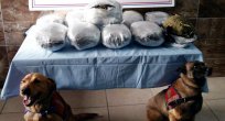 JANDARMA TİMLERİ GÜNEY EKSPERESİNDE ESRAR ELE GEÇİRDİLER