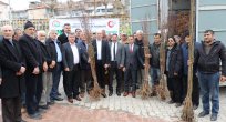 KEBANLI ÜRETİCİLERE CEVİZ VE BADEM FİDANI DAĞITILDI