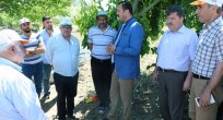 MART AYINDA Kİ DOLU ZARARI TESPİT EDİLDİ