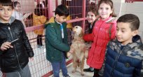 MİNİKLERDEN GELECEĞİN TESİSLERİNE ZİYARET
