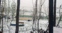 Nisan Karı Etkili Oluyor