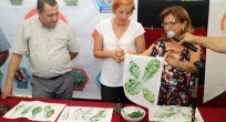 Organik Boya Bitkileri Yeniden Hayata Kazandırılıyor