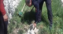 SU BORUSUNA SIKIŞAN KÖPEK YAVRUSUNU İTFAİYE EKİPLERİ KURTARDI