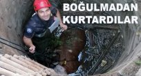 Su Kuyusuna Düşen İnek Kurtarıldı