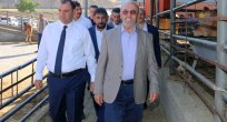 VALİ ÇETİN OKTAY KALDIRIM HAYVANCILIK OSB VE BORSASINDA İNCELEMEDE BULUNDU