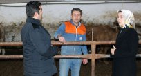 YILDIZ: “KAYNAKLARIN DOĞRU KULLANILMASI BİZİ HIRSLANDIRIYOR”