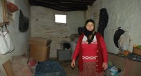 ZOR ŞARTLARDA YAŞAM MÜCADELESİ