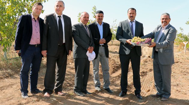 TURAN KARAHAN MEYVE ÜRETİCİLERİNİ ZİYARET EDİYOR