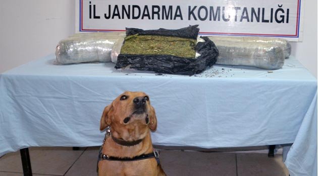 YOLCU TRENİNDE ESRAR